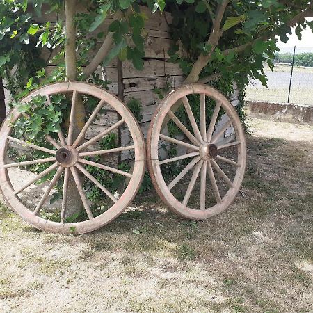 La Fiora Bed and Breakfast Sansepolcro Εξωτερικό φωτογραφία