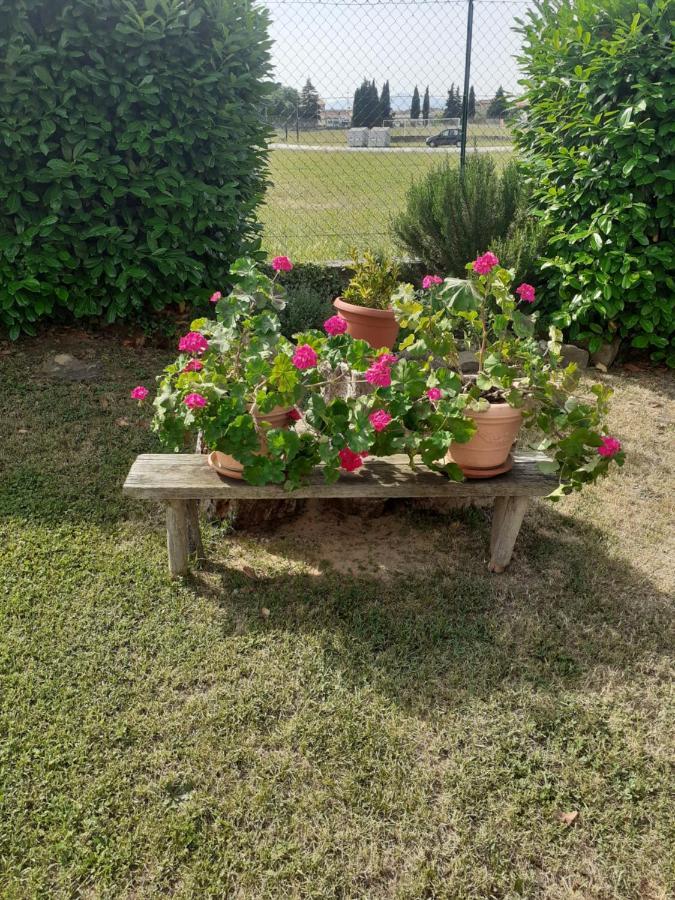 La Fiora Bed and Breakfast Sansepolcro Εξωτερικό φωτογραφία